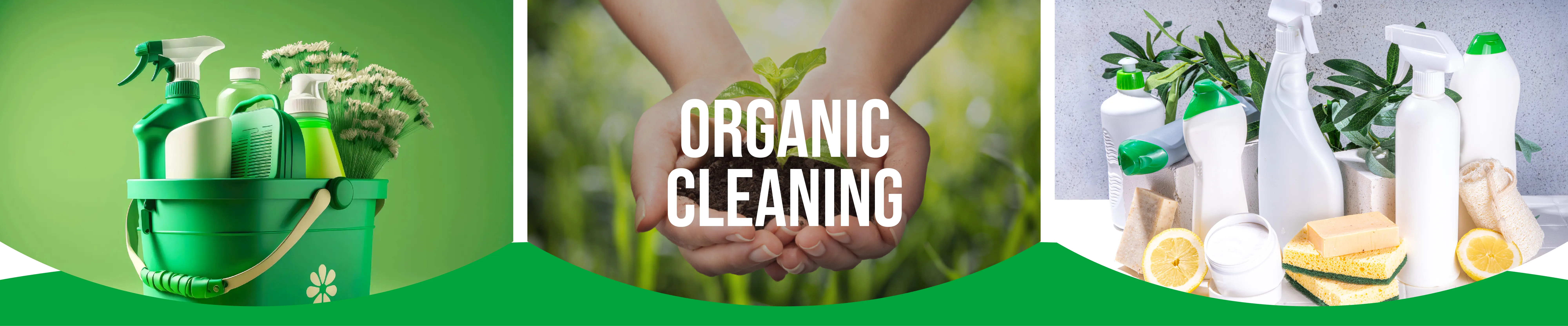 carpet cleaning in bronx, carpet cleaning bronx, carpet cleaners in bronx, carpet cleaners in bronx, commercial carpet cleaning, commercial carpet cleaning in bronx, bronx rug cleaners, rug cleaning services in bronx, same day carpet cleaning, same day rug cleaning in bronx