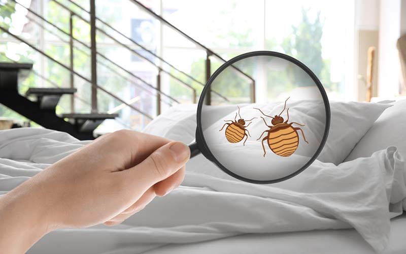 carpet cleaning in bronx, carpet cleaning bronx, carpet cleaners in bronx, carpet cleaners in bronx, commercial carpet cleaning, commercial carpet cleaning in bronx, bronx rug cleaners, rug cleaning services in bronx, same day carpet cleaning, same day rug cleaning in bronx